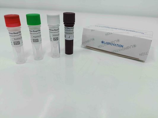 calidad  Real Time Monkeypox PCR Test Kit With Positive / Negative Control fábrica