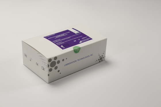 Prueba Kit For Early Treatment del AB de la gripe de la prueba de Labnovation 20